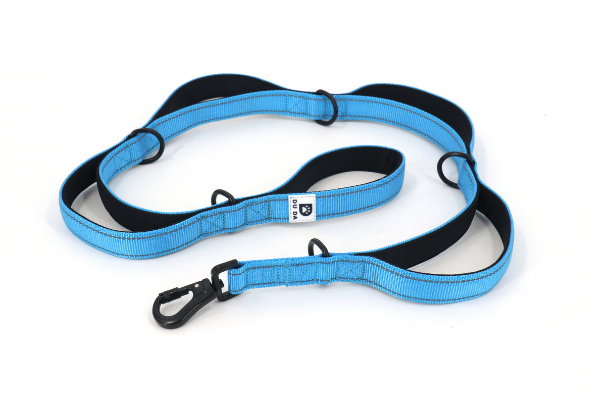 DU DA Pets 5-Handle Dog Leash – Duchesse Blue