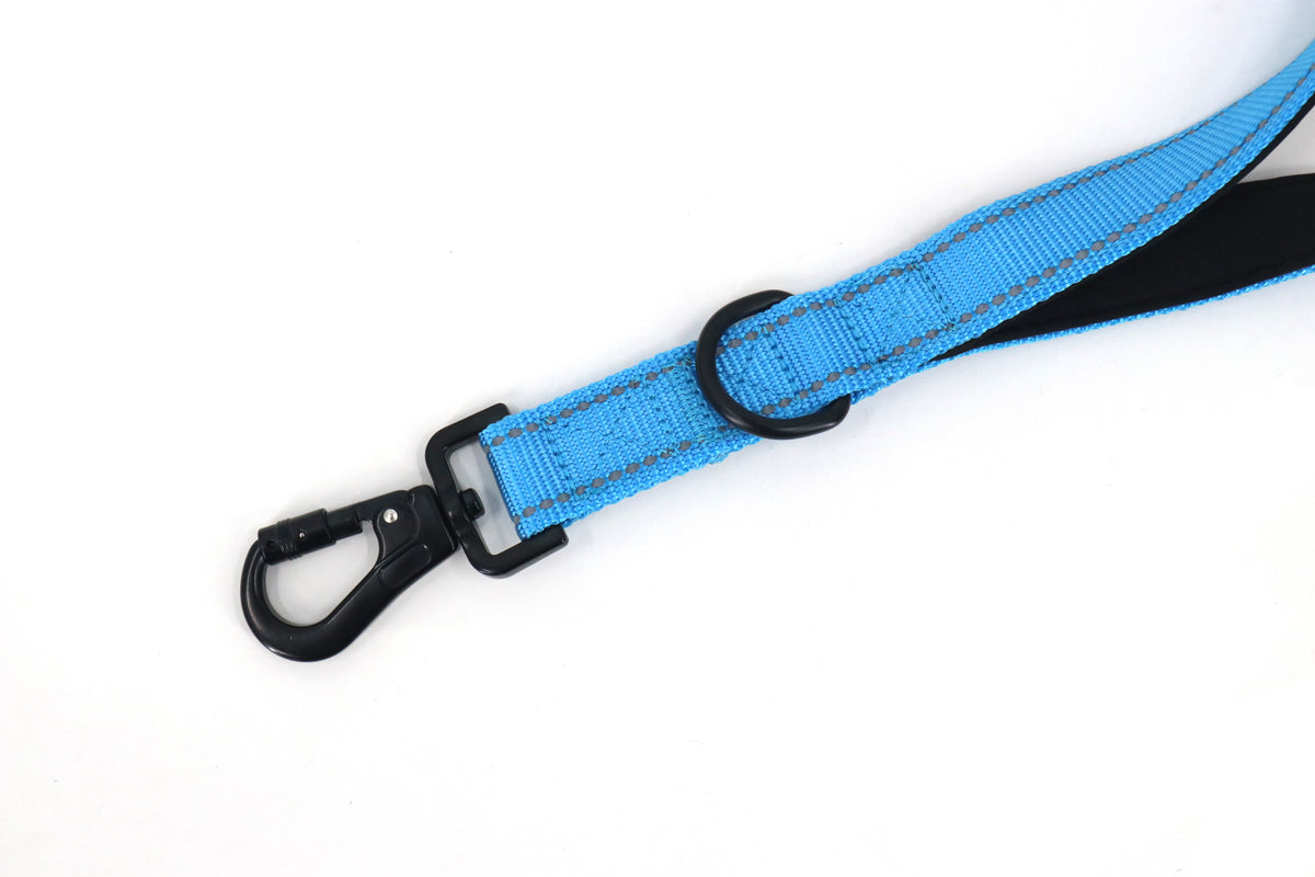 DU DA Pets 5-Handle Dog Leash – Duchesse Blue