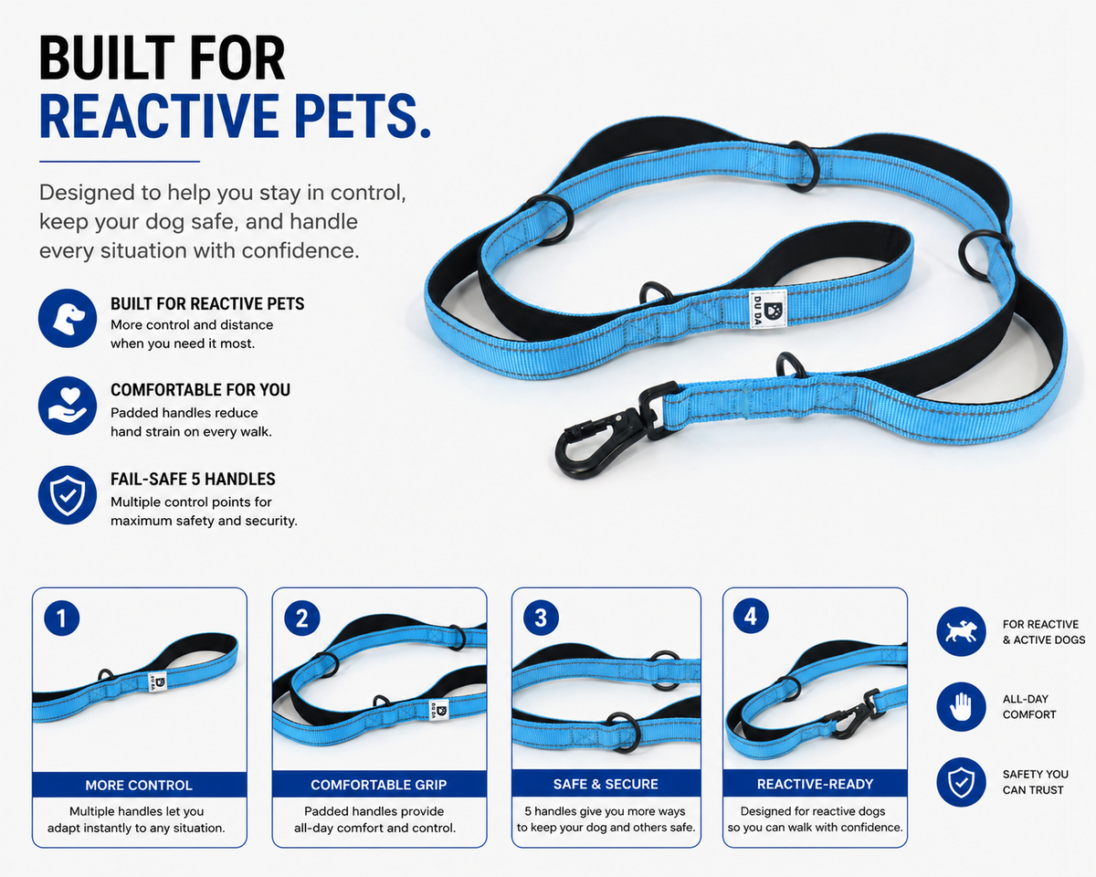 DU DA Pets 5-Handle Dog Leash – Duchesse Blue