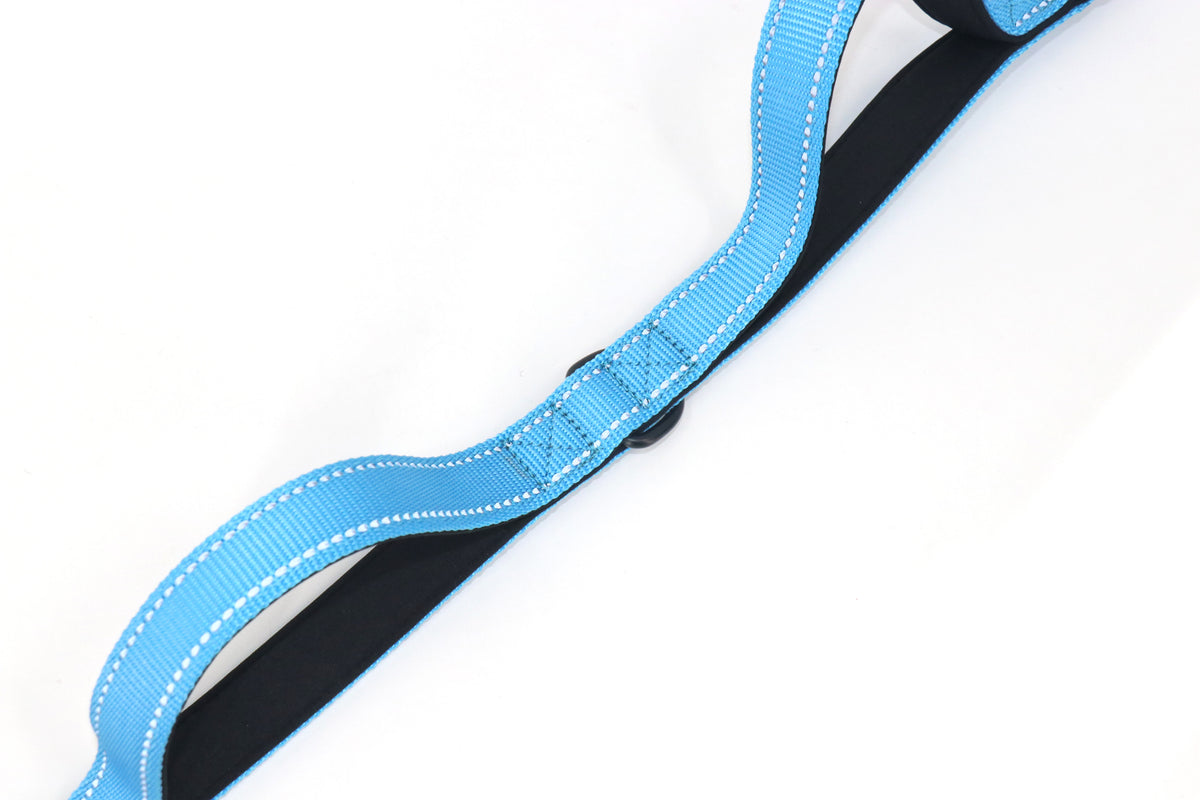 DU DA Pets 5-Handle Dog Leash – Duchesse Blue