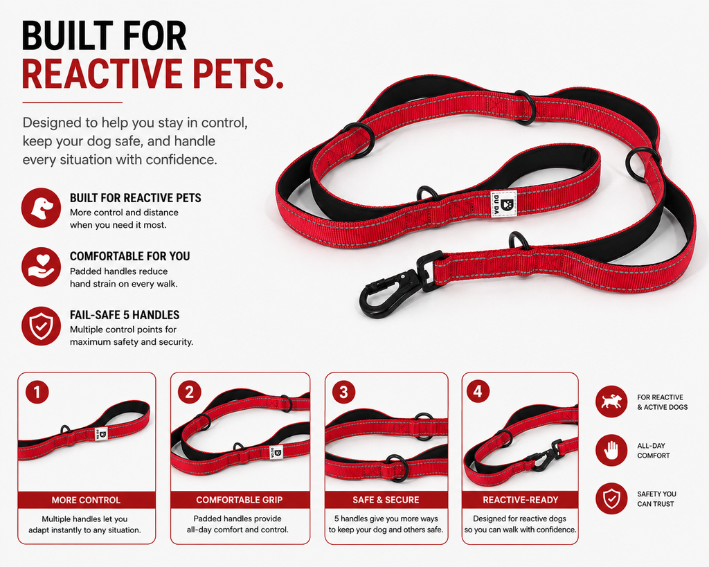 DU DA Pets 5-Handle Dog Leash – Dale Red